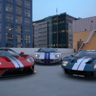 D. Bermudez