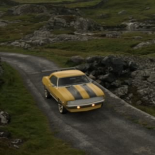 Neilsen
