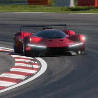 TheRealSim