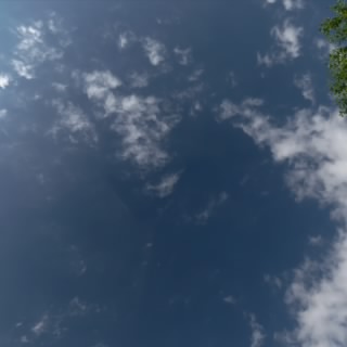 ierten
