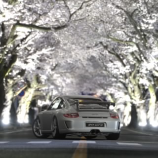 Martins580N