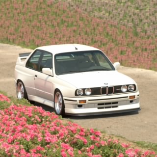 Cleanish__e93