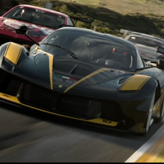 The Stig
