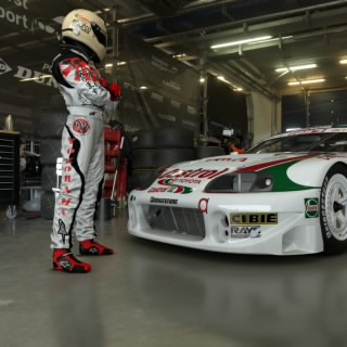 The Stig