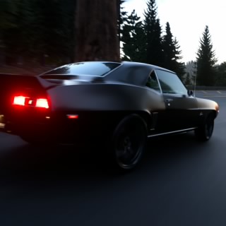 Bop85