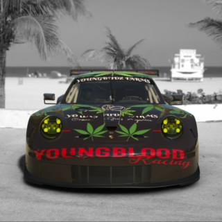 YOUNGBUDZ FARMS