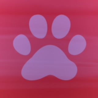 ぽんこーつ