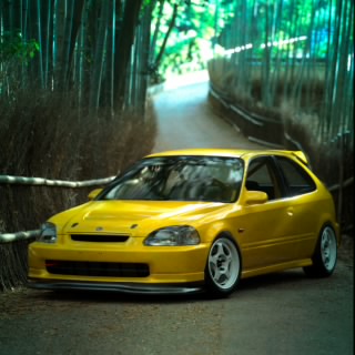 Goat of GT