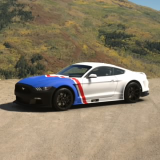 dlrws6