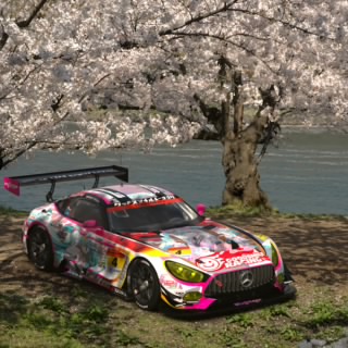 T.Arakawa