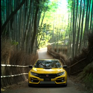 山道老孫來也