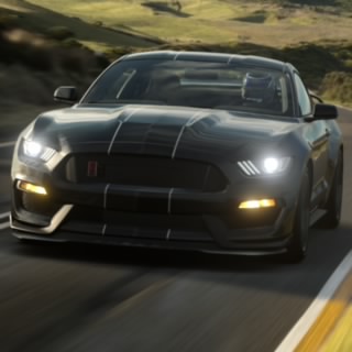 Rexecutioner7