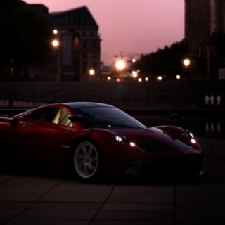 Wild_Will09