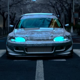 Elite