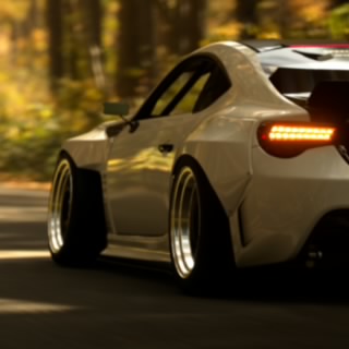 Drulingturtl