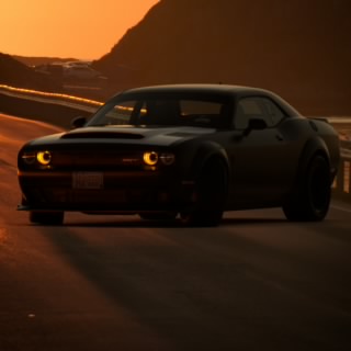 M7MD