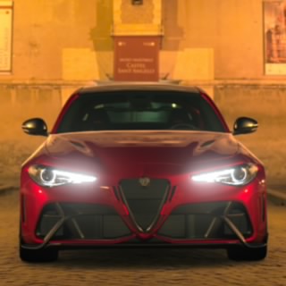 Alfisti14