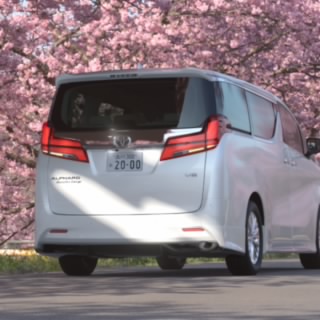 hasejun