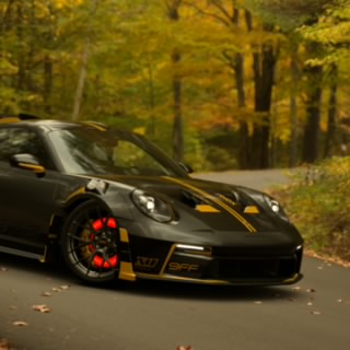 The Stig