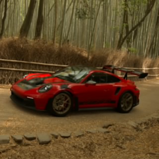 Epiphonester_CZ