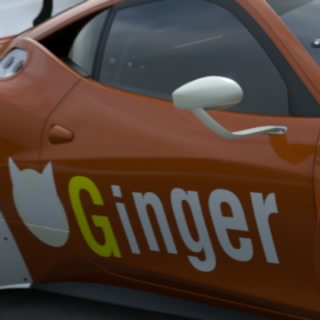 Ginger