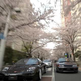 Paskema1993