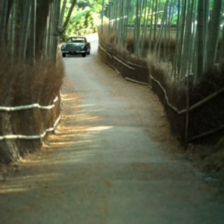 CostRacing