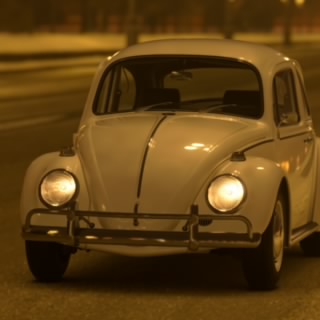 Maestro Vacca