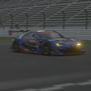 白熊
