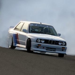 STIG