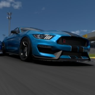 The Stig
