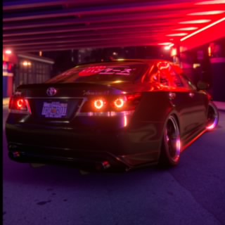 TRD-BOi