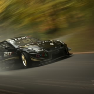 Damir Bulka