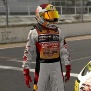 CRT-Perrosordo