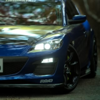 shima-R31