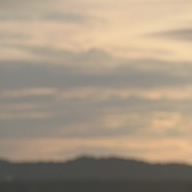 Flo