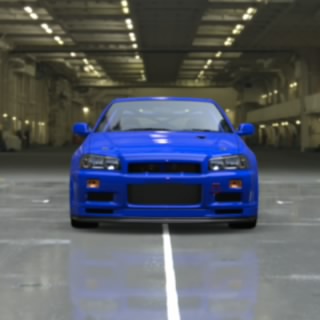 白黒の燕