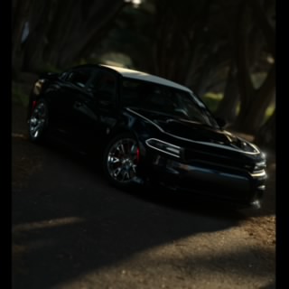df1t