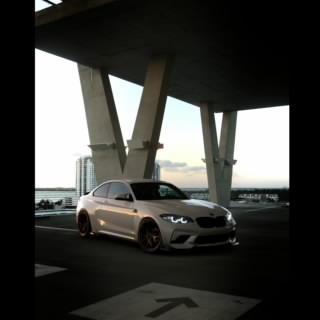 F82_liu